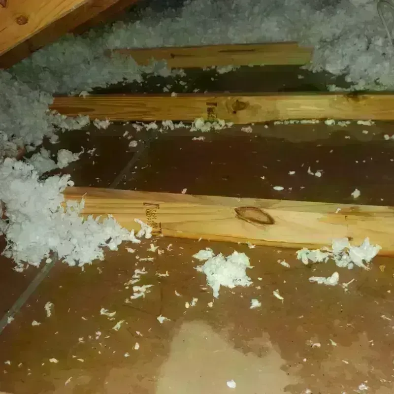 Attic Water Damage in Greensburg, LA