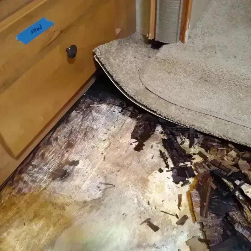 Wood Floor Water Damage in Greensburg, LA